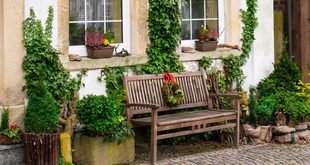 Simple Front Yard Ideas for a More Welcoming Home