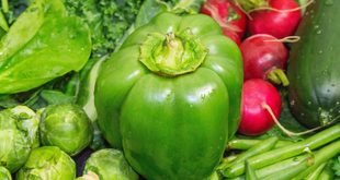 Best Vegetables to Grow in Containers for Beginners