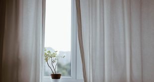 How to Tell When an Indoor Plant Needs More Light